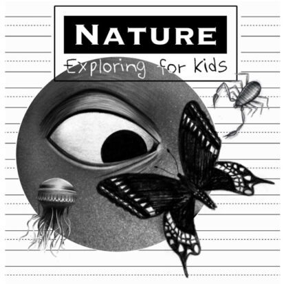 Free Nature Exploring for kids working sheets